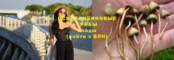PSILOCYBIN Нефтекумск