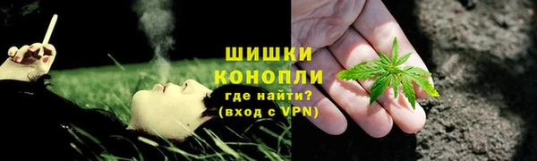PSILOCYBIN Нефтекумск