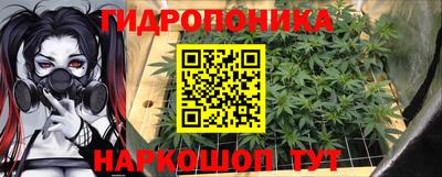 молекула духа Волжск