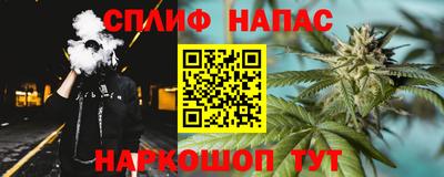 прущие грибы Волгодонск