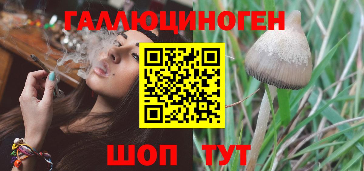 хочу   Вход с VPN  Кувандык  Галлюциногенные грибы мицелий 
